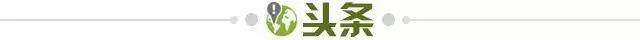 1668975997362062339.jpg 头条.jpg